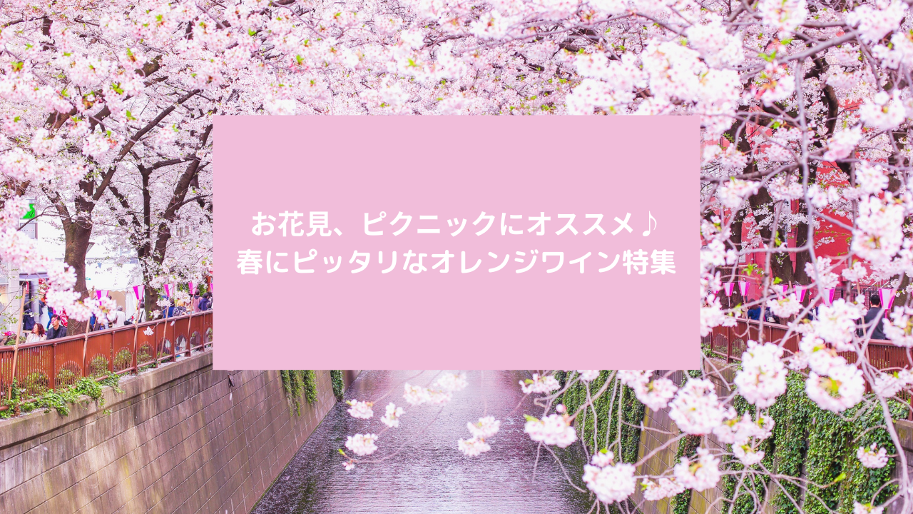 お花見、ピクニックにオススメ♪ 春にピッタリなオレンジワイン特集 