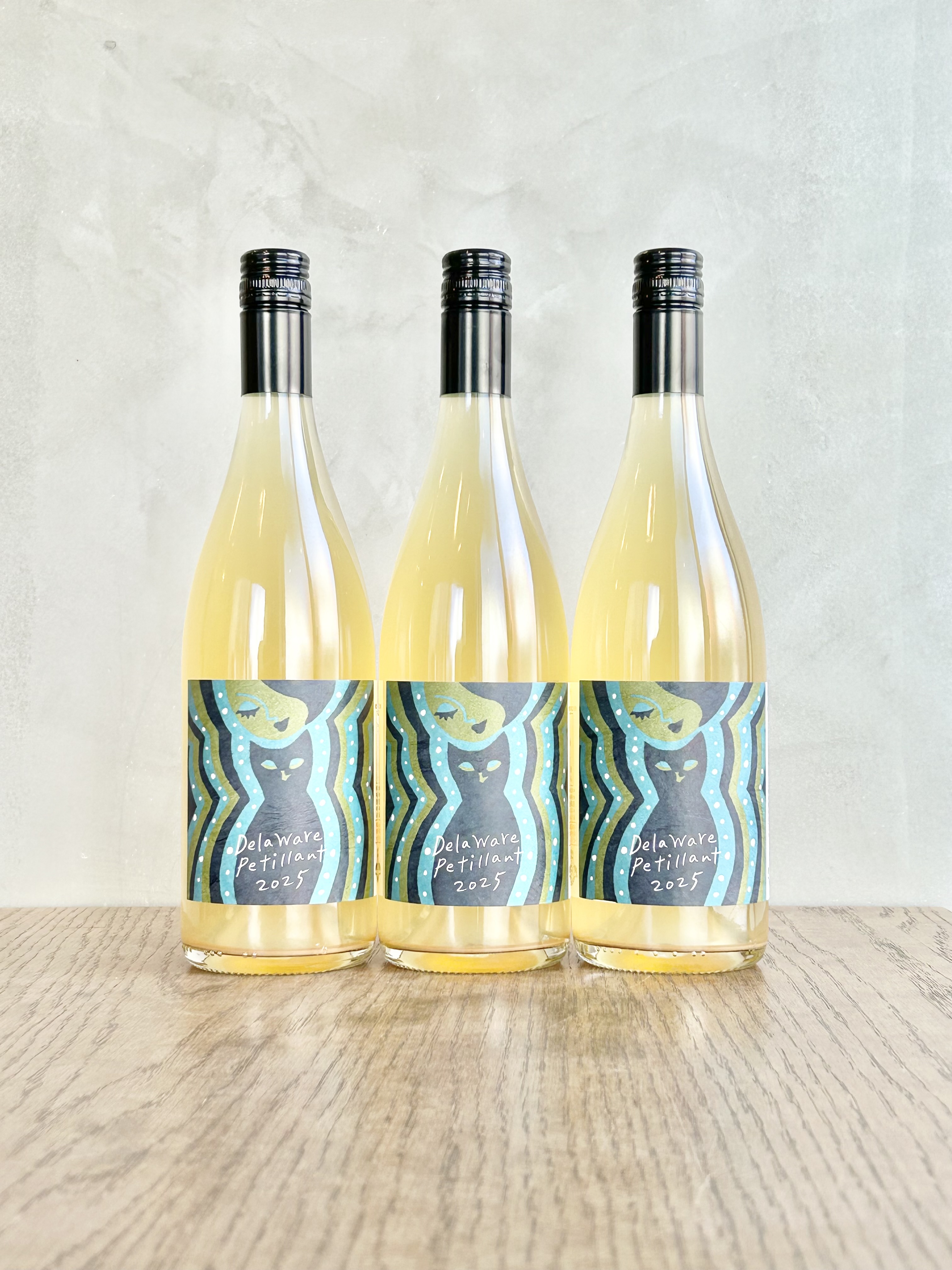 デラウェアペティヤン2025詳細