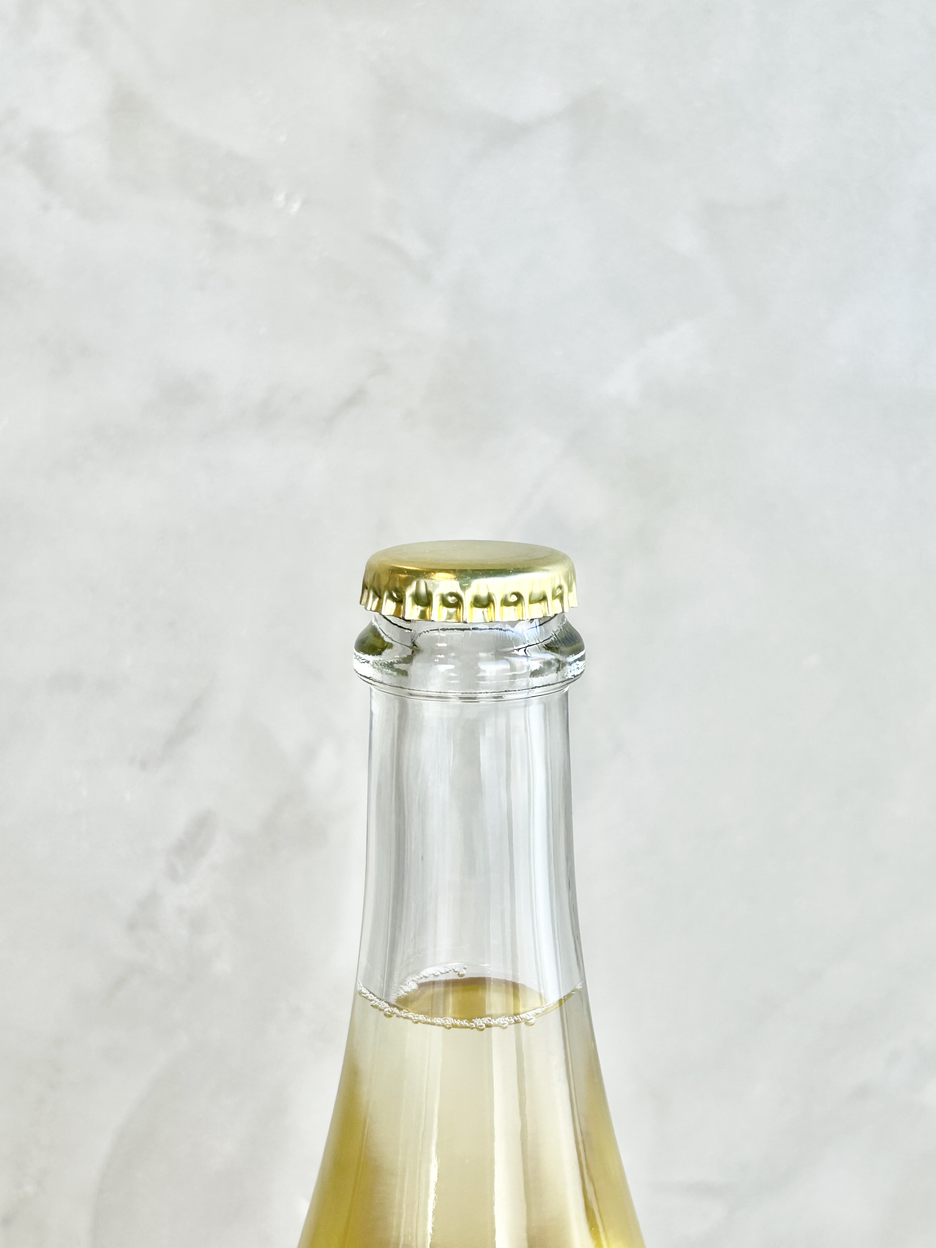 ファンピー ヌーヴォー 2025詳細