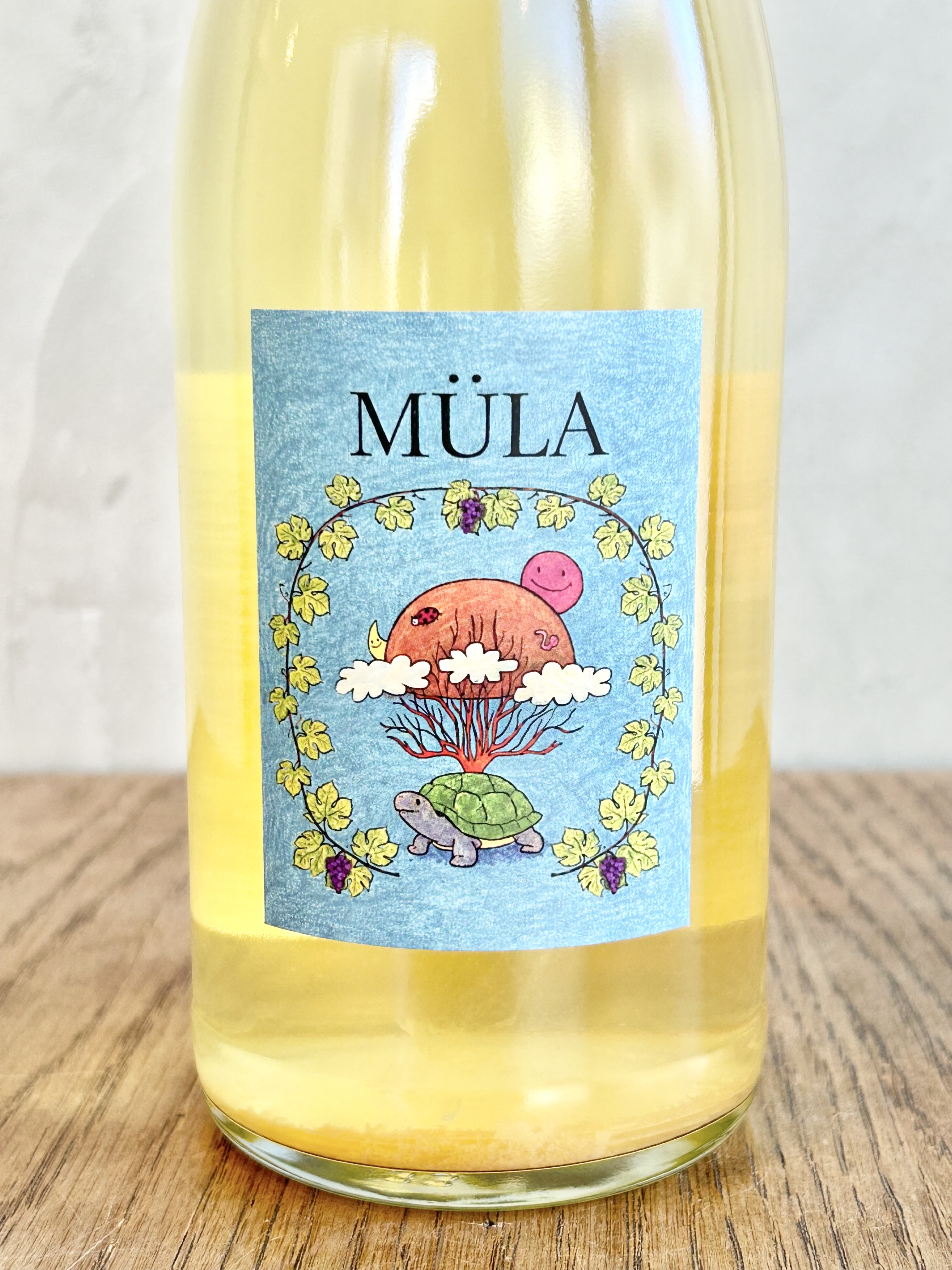 MÜLA ムーラ詳細