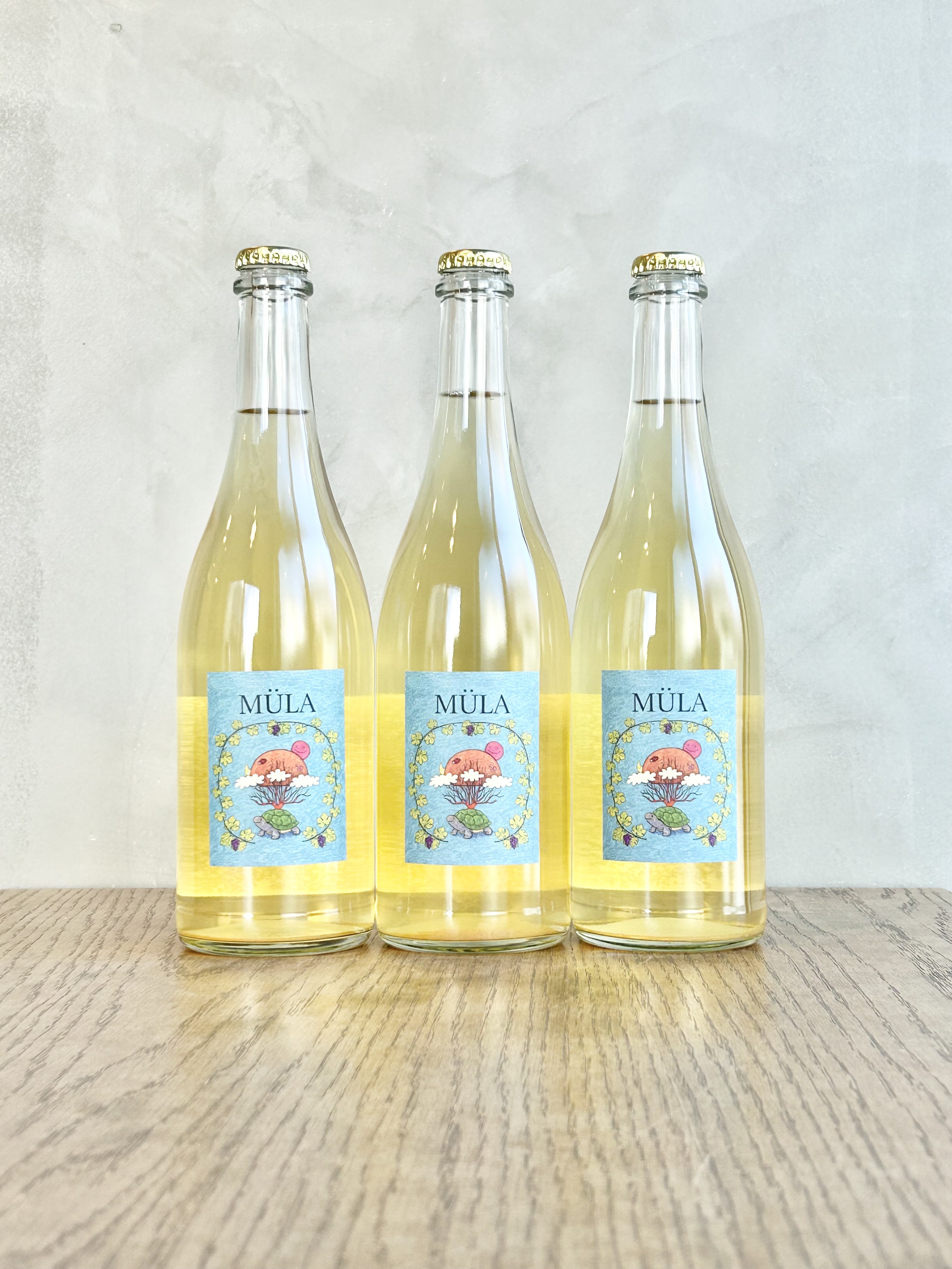 MÜLA ムーラ詳細