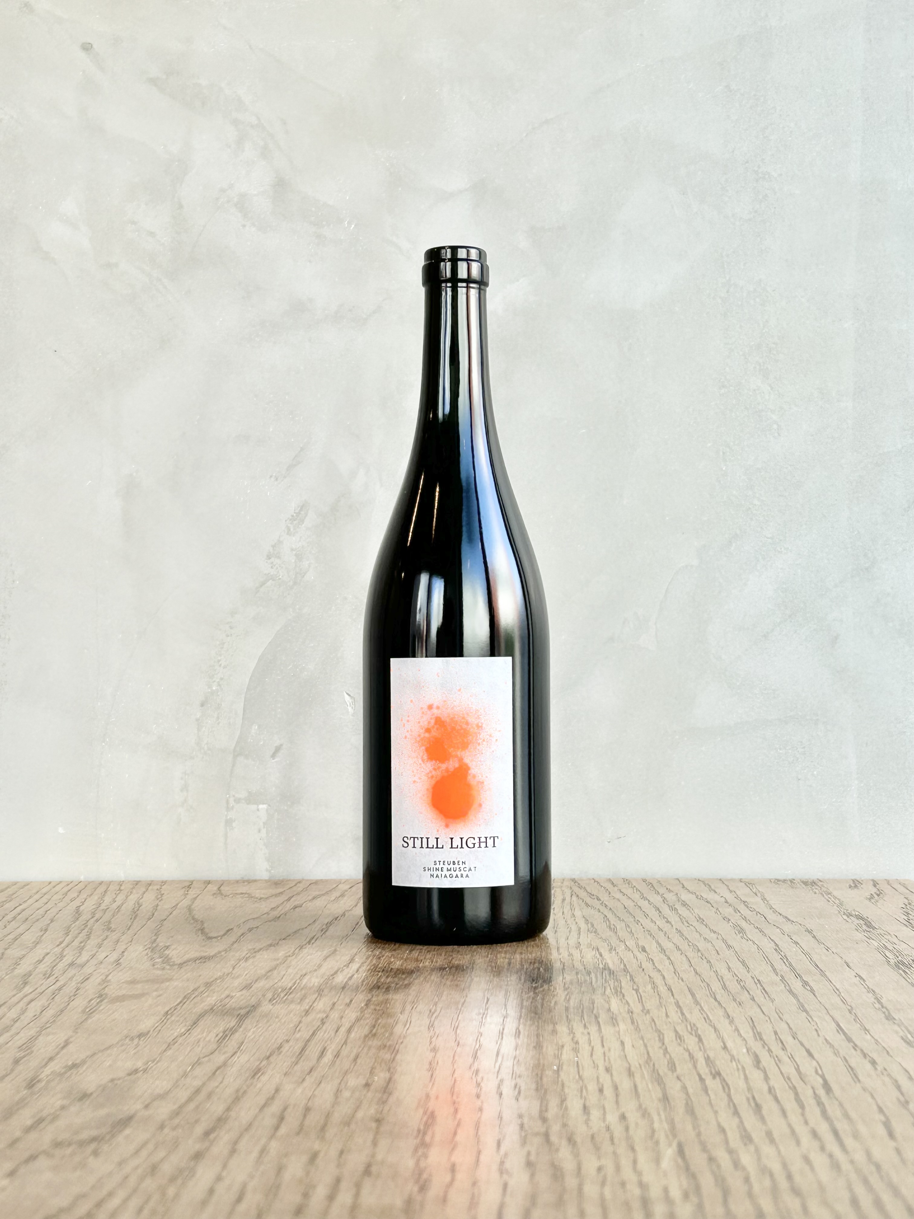 STILL LIGHT 2025‐スティルライト