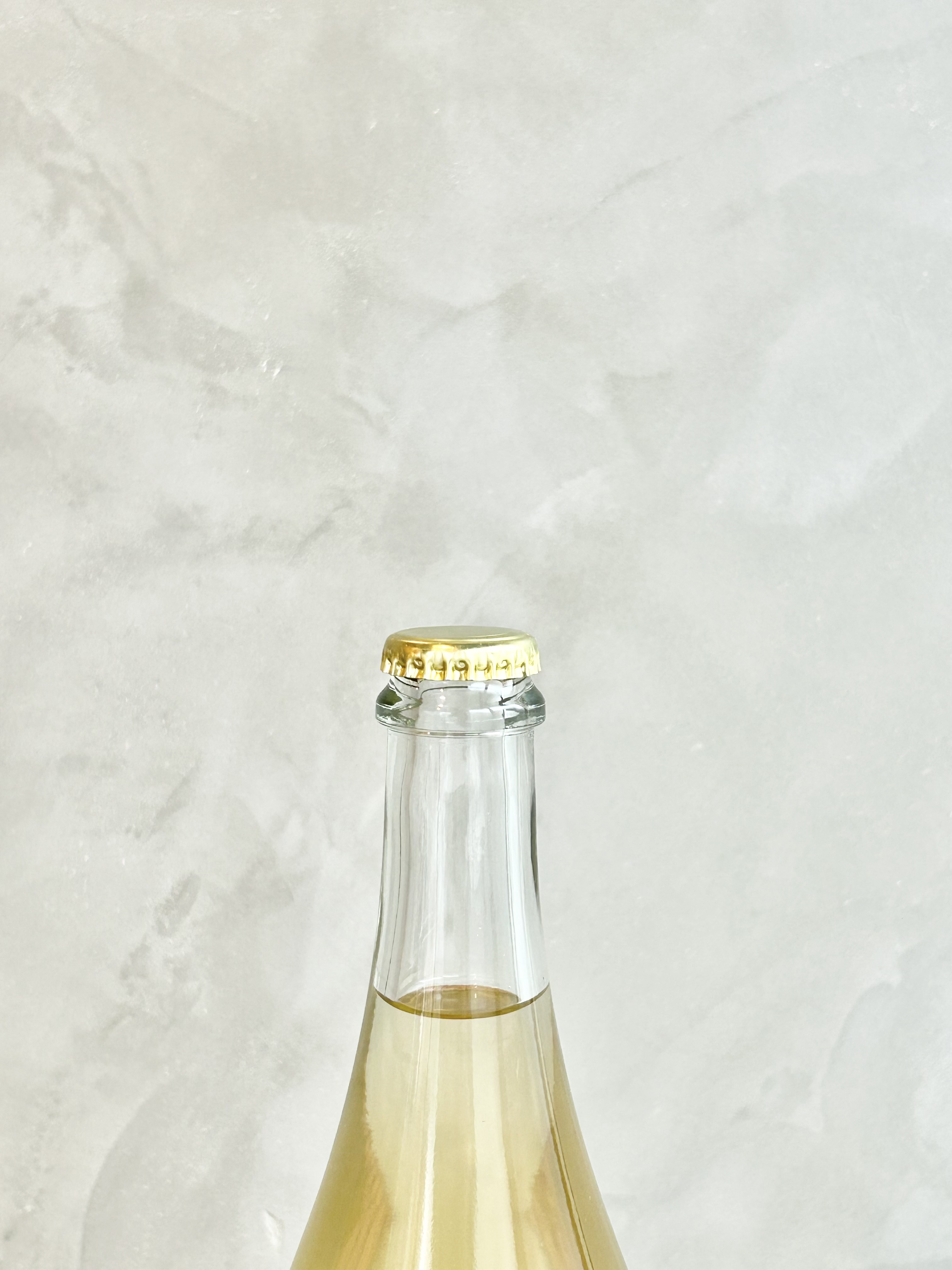 René 2025 ルネ詳細