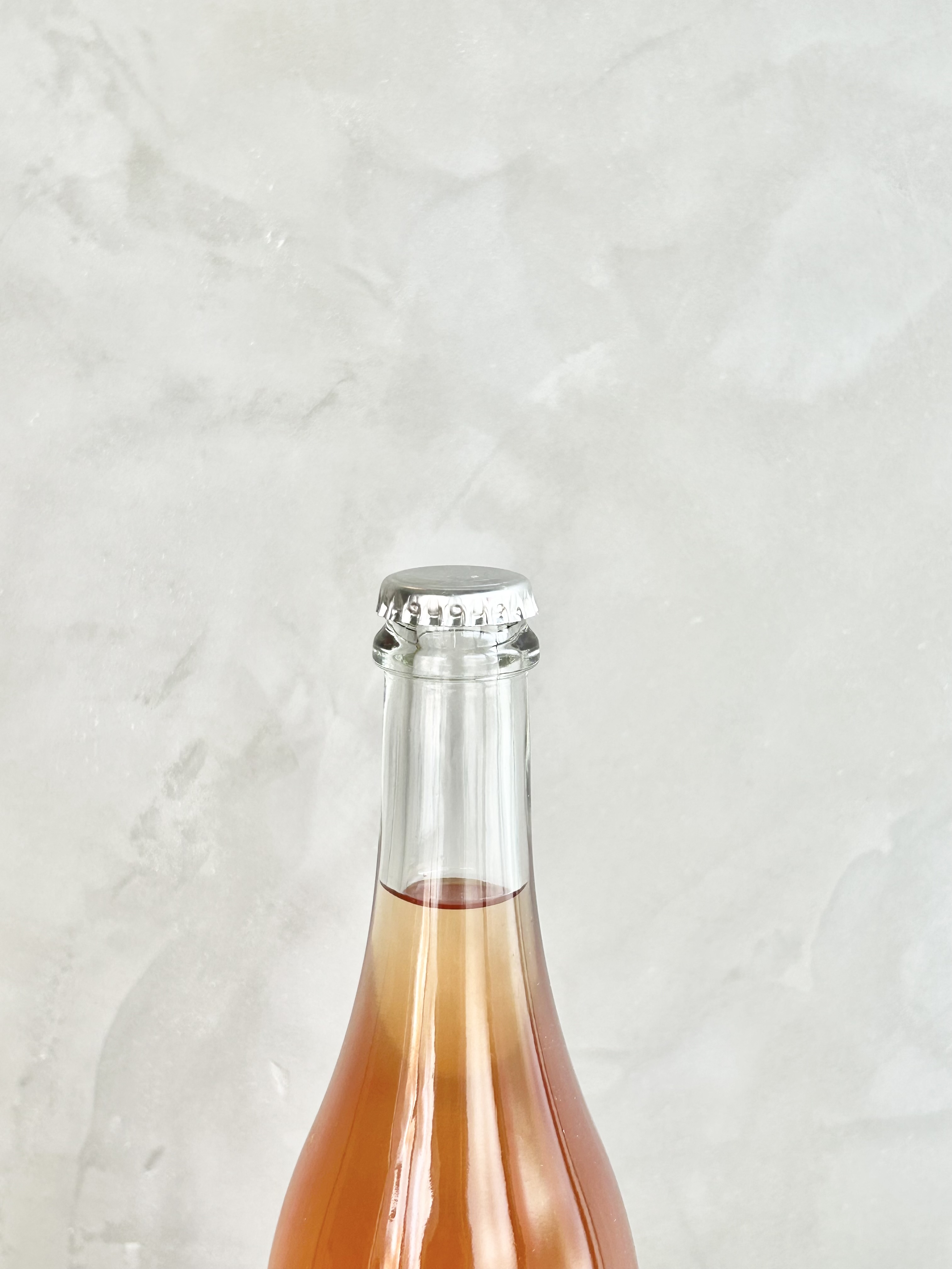 バルデラ 2024 Bardela 2024詳細