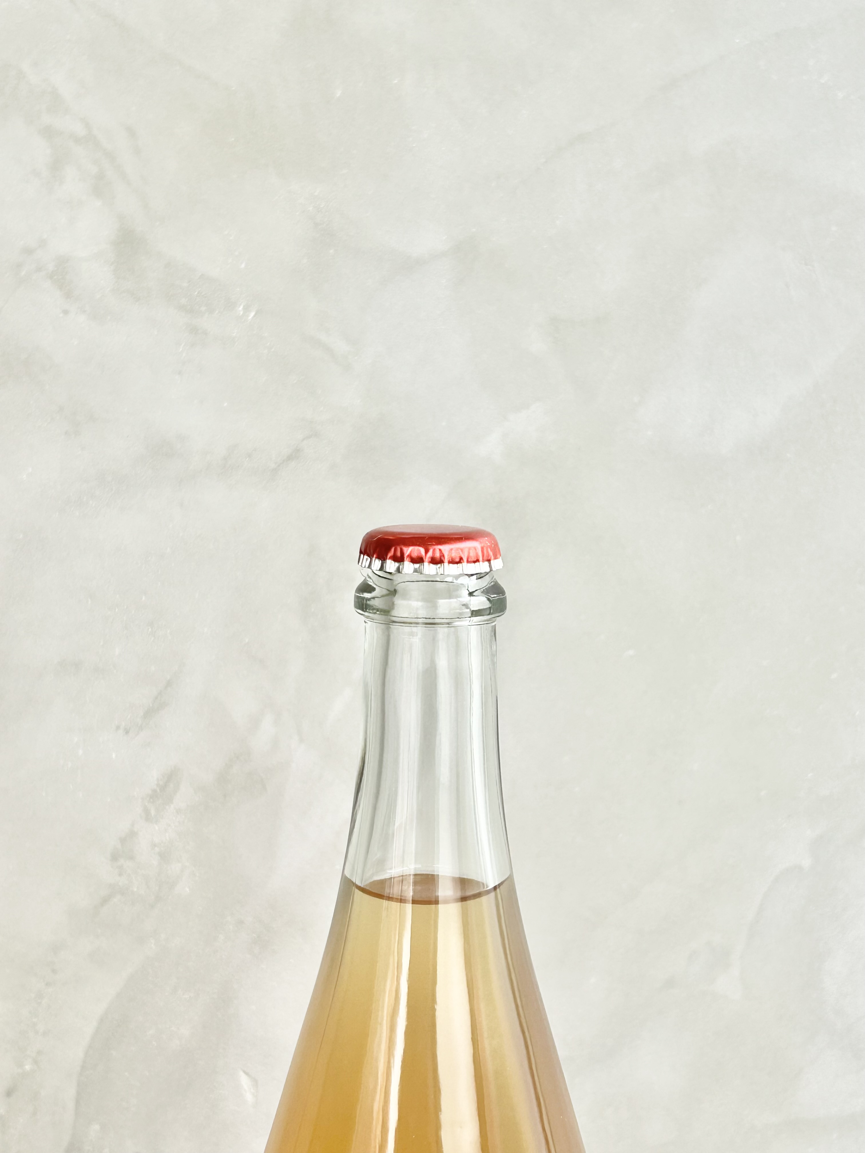 PET NAT 2025 DELAWARE詳細