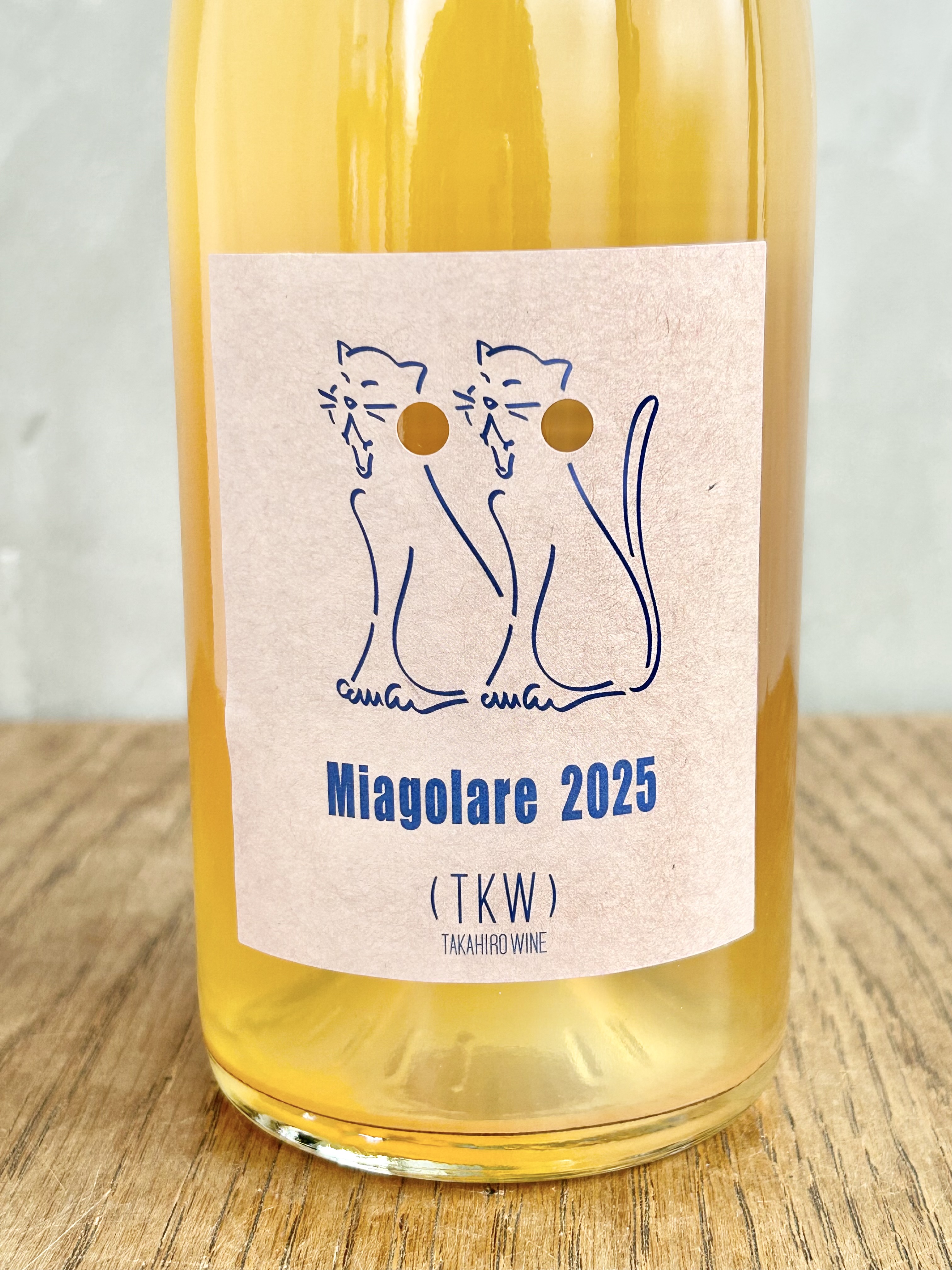 Miagolare2025 ミャゴラーレ詳細