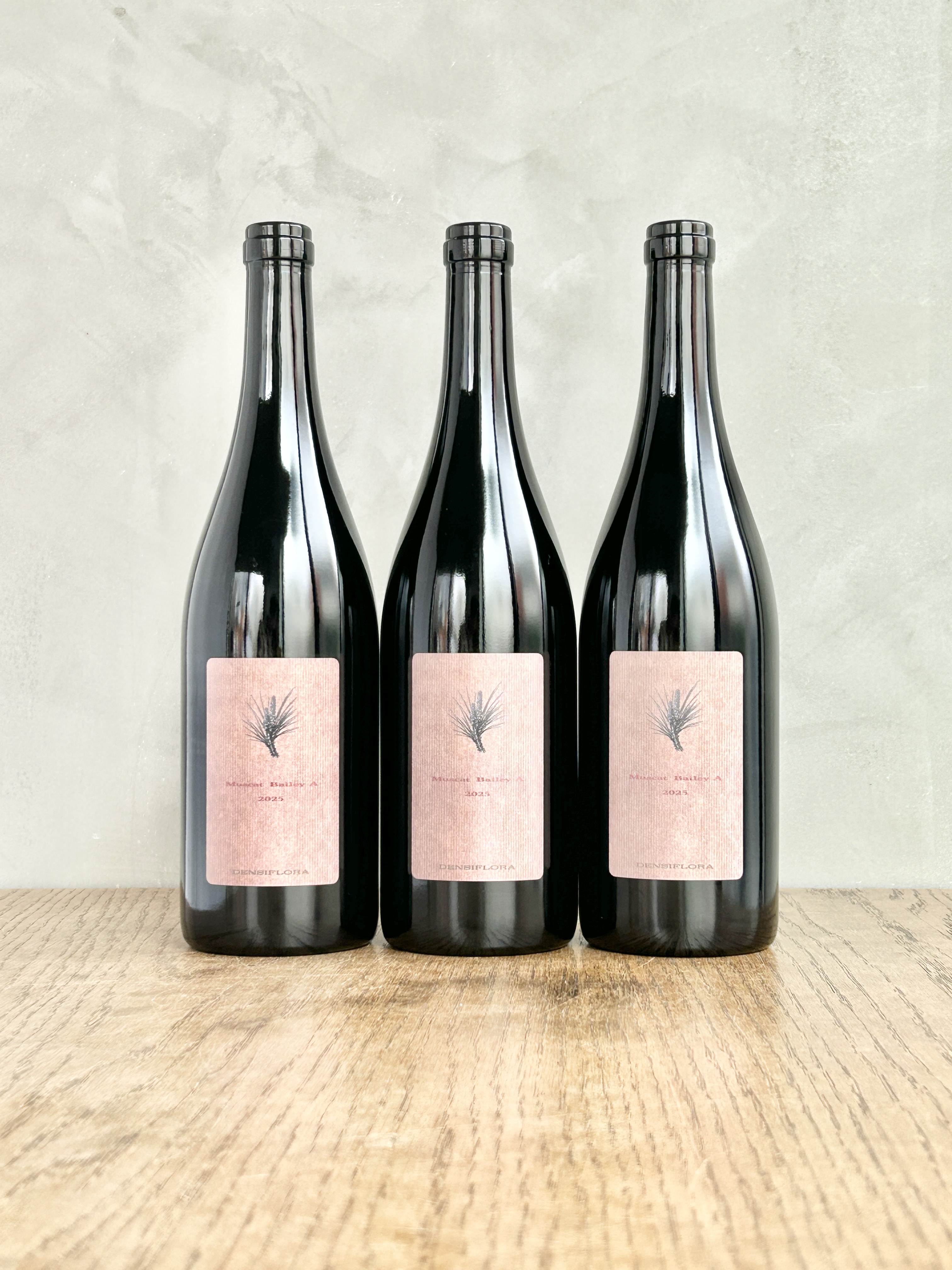Muscat Bailey A 2025詳細