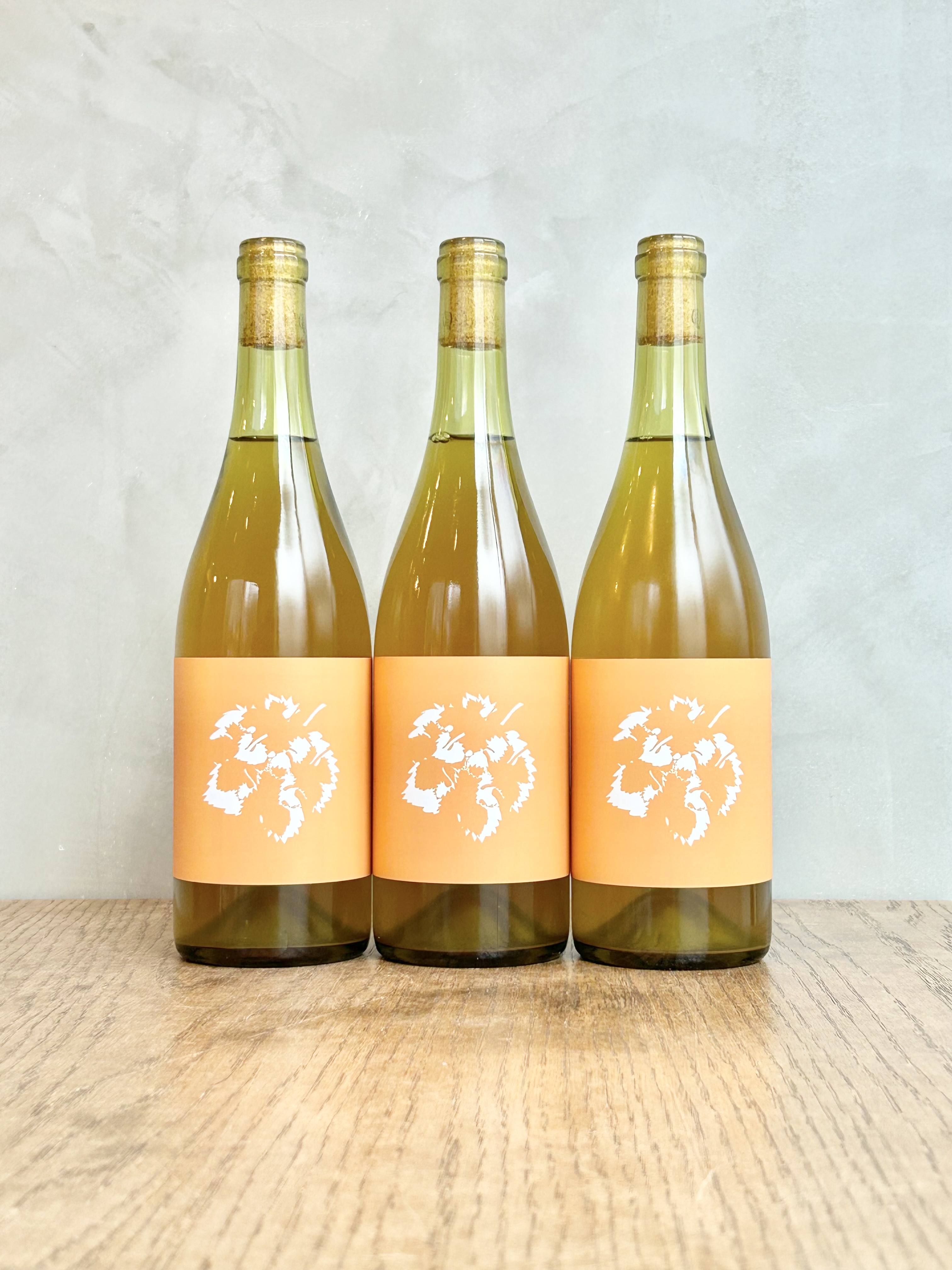 こもれび 2022詳細