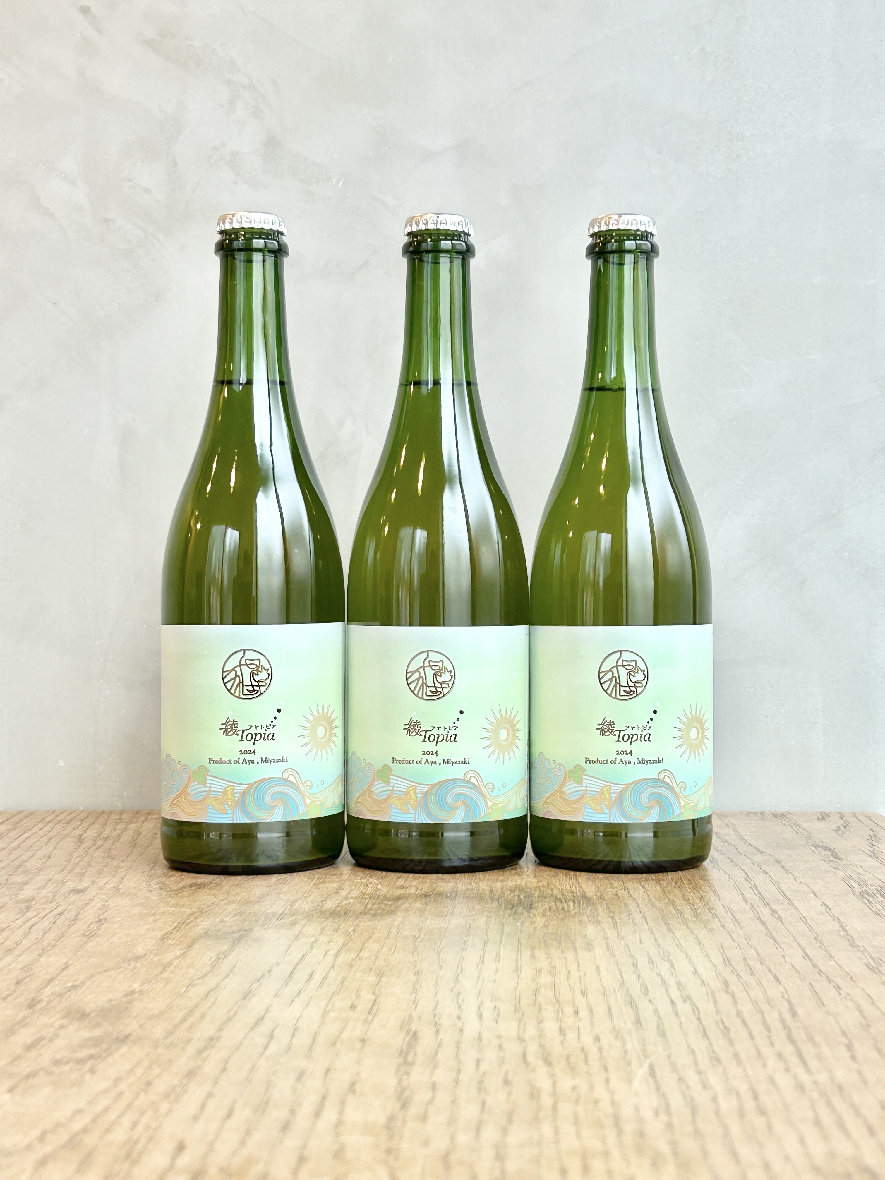 綾トピア 2024詳細