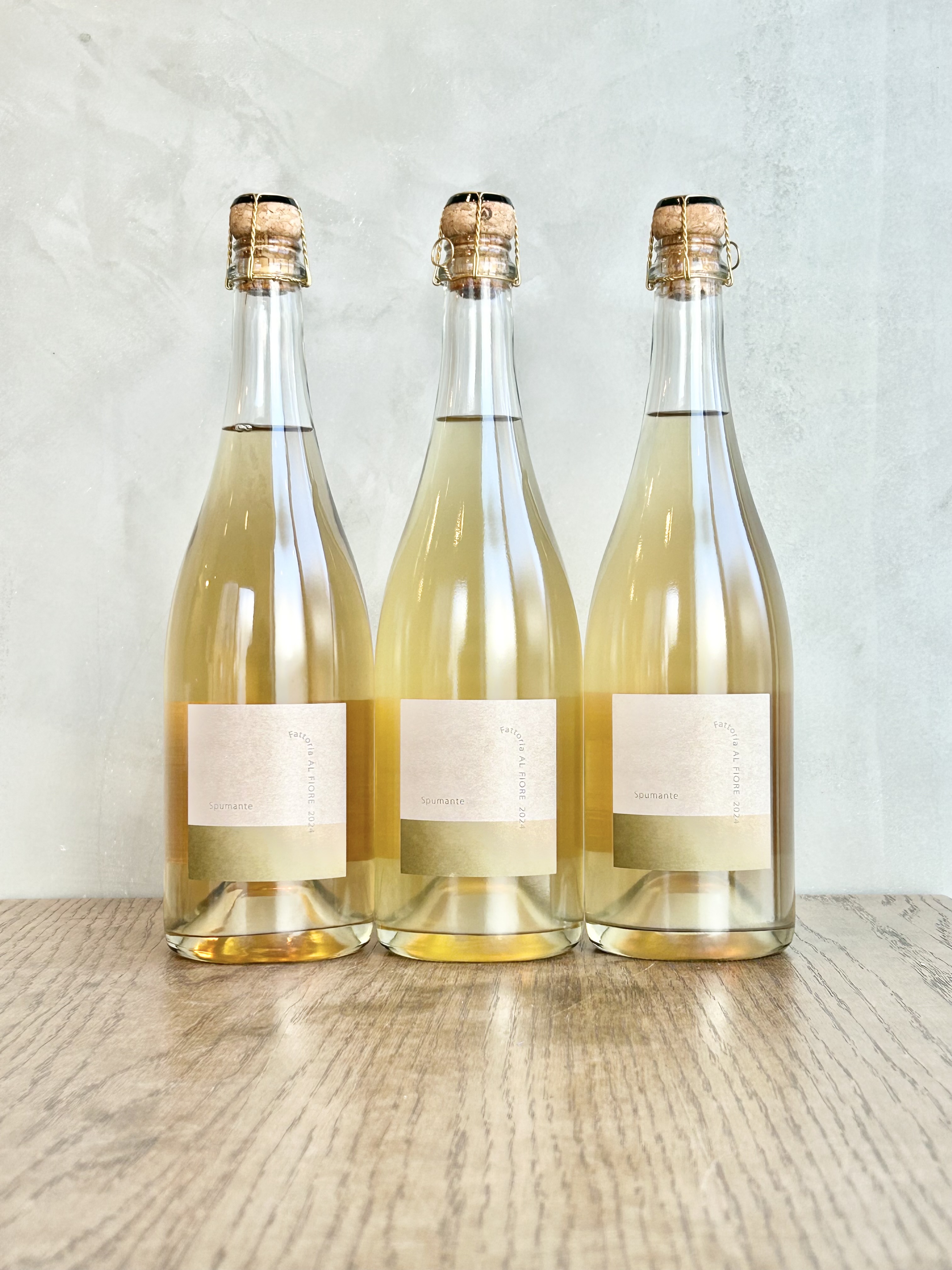 Spumante 2024 FAFseries詳細