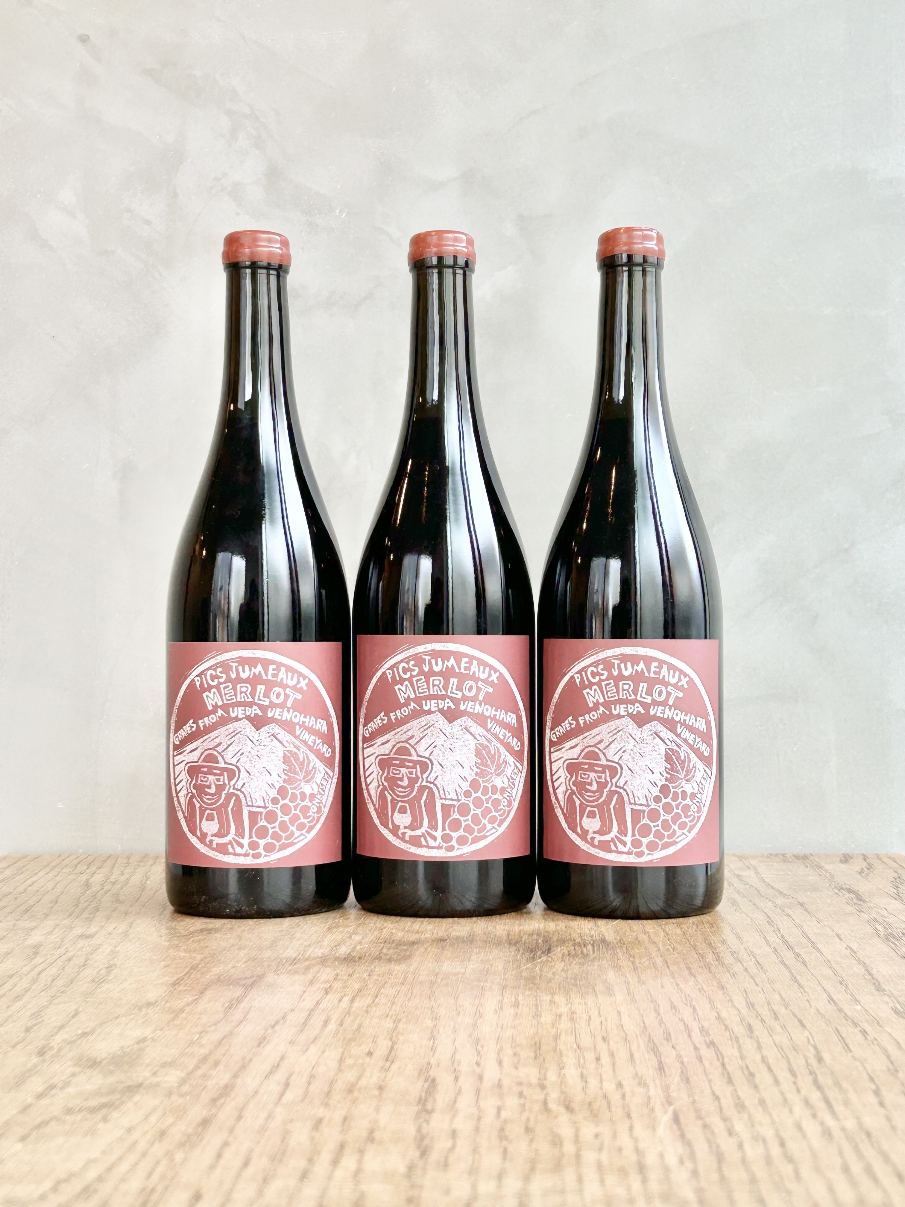 LE VIN PIC JUMEAUX Yonkisey MERLOT 2023（お一人様一本まで