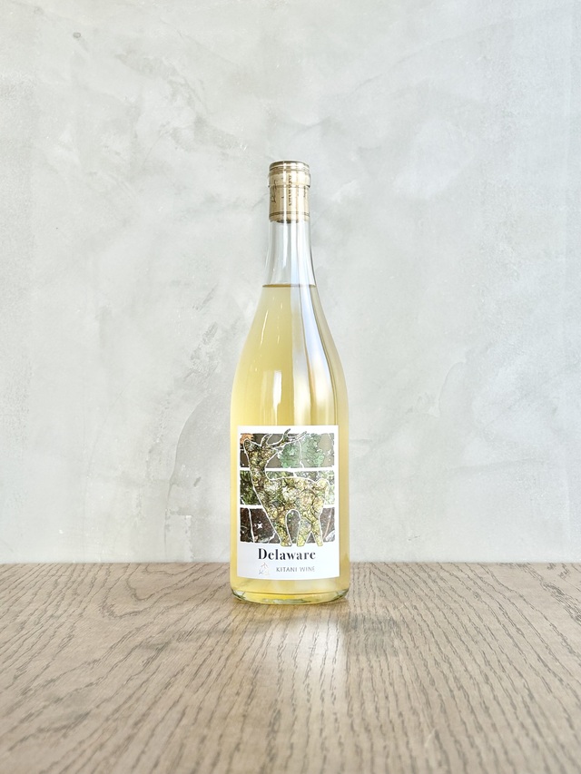 デラウェア 2024