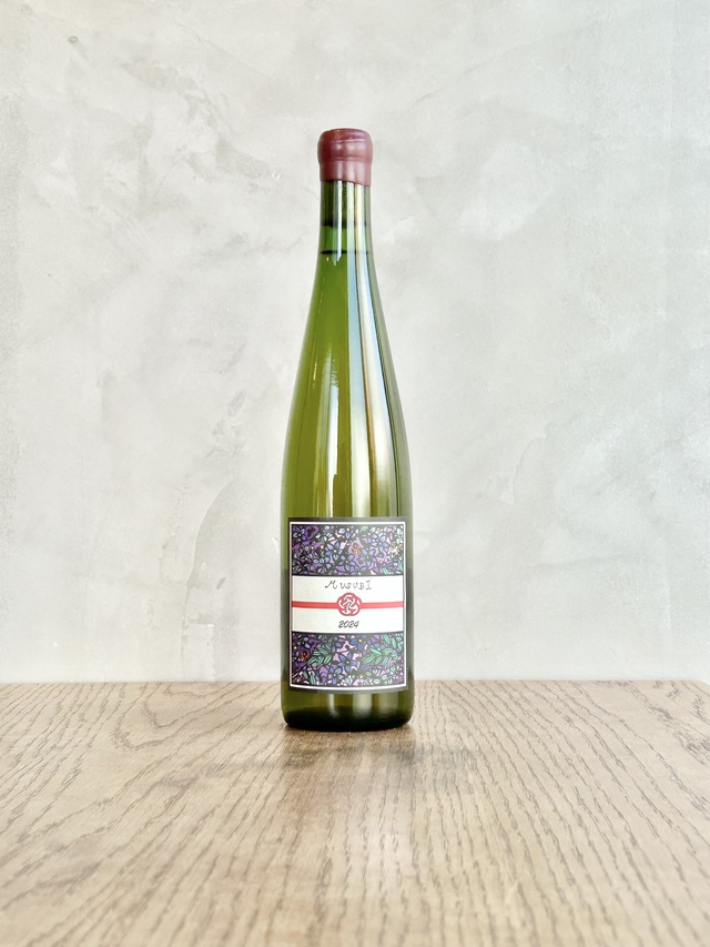 MUSUBI 2024 ムスビ 2024