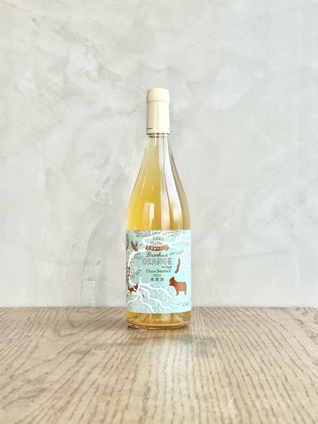 Bacchus Orange Sansful 2024