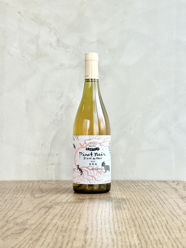 Pinot Noir Blanc de Noir 2023