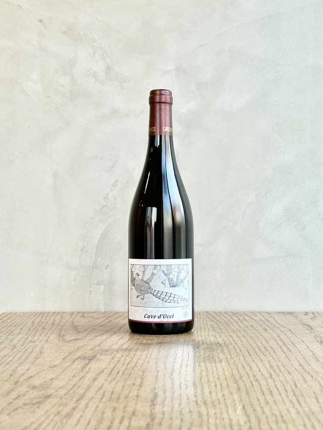 2024 やまどり舞う　ラブルスカ