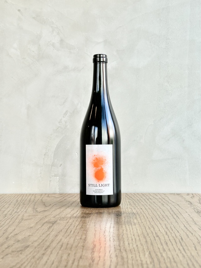 STILL LIGHT 2025‐スティルライト