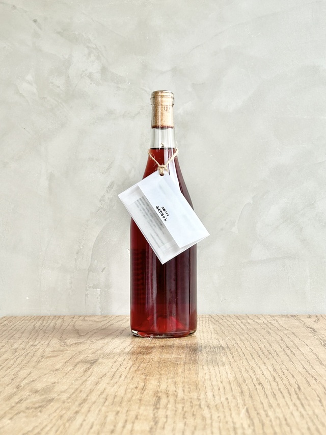 みどりちゃん2024