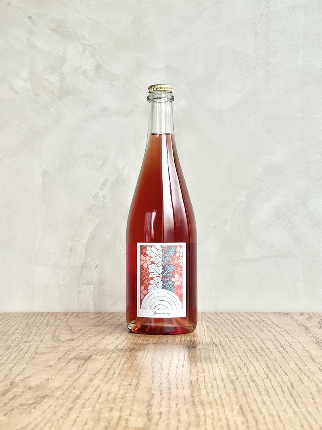 花見で一杯  2025