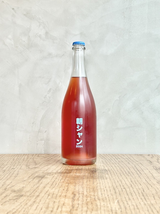 朝シャン2024