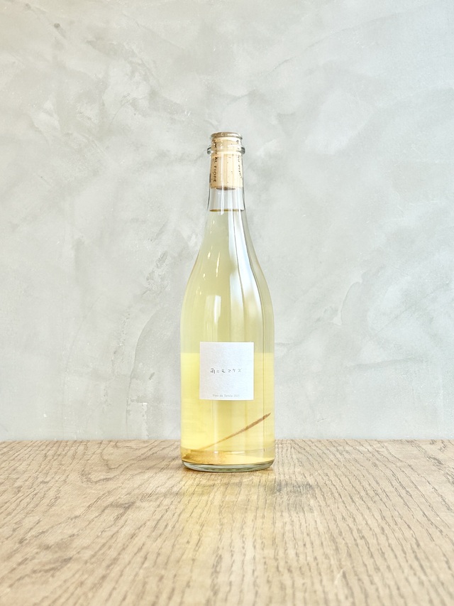 雨ニモマケズ 2025 vinho verde