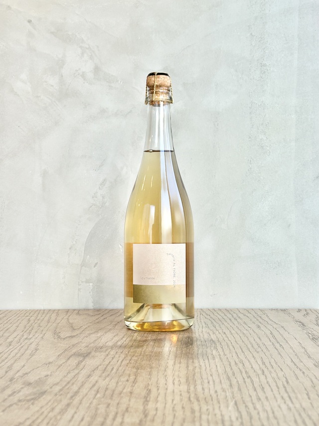 Spumante 2024　FAFseries